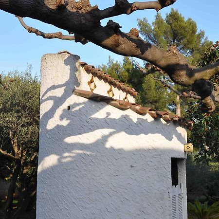 Hotel Du Cote De Chez Soi La Ciotat Zewnętrze zdjęcie