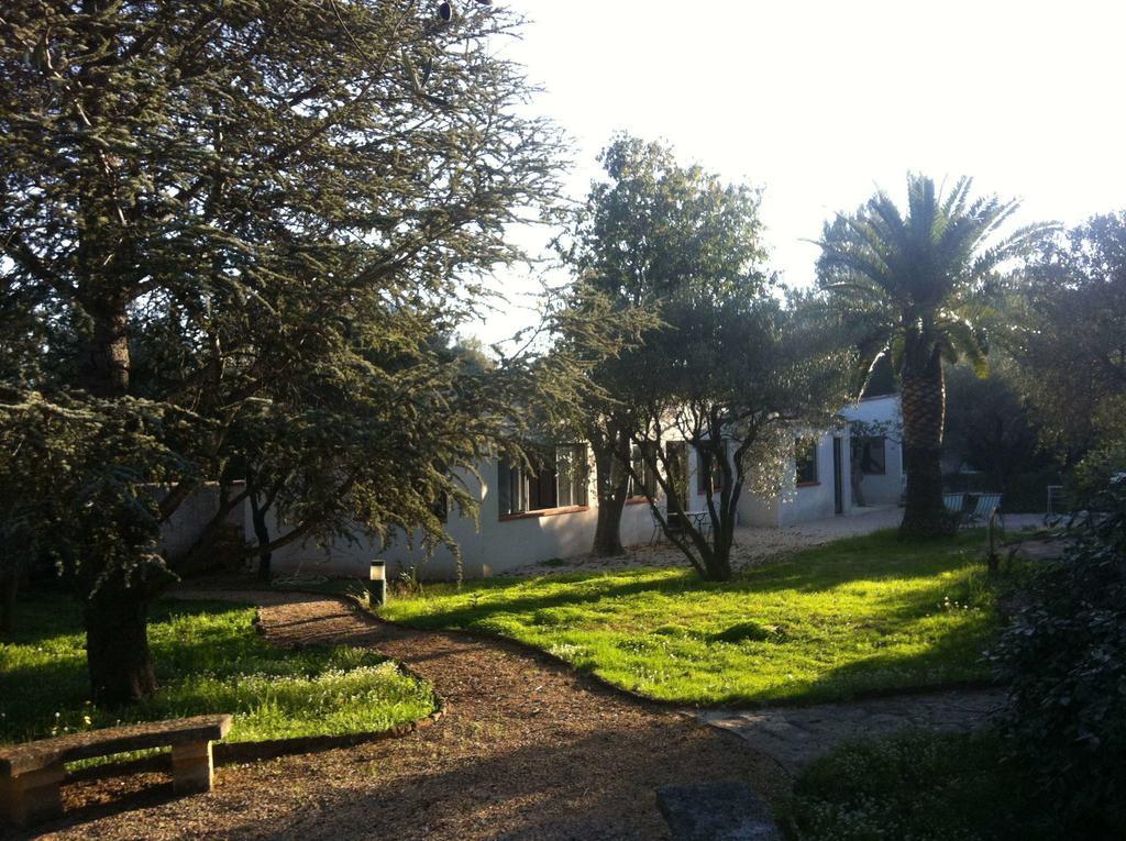 Hotel Du Cote De Chez Soi La Ciotat Pokój zdjęcie